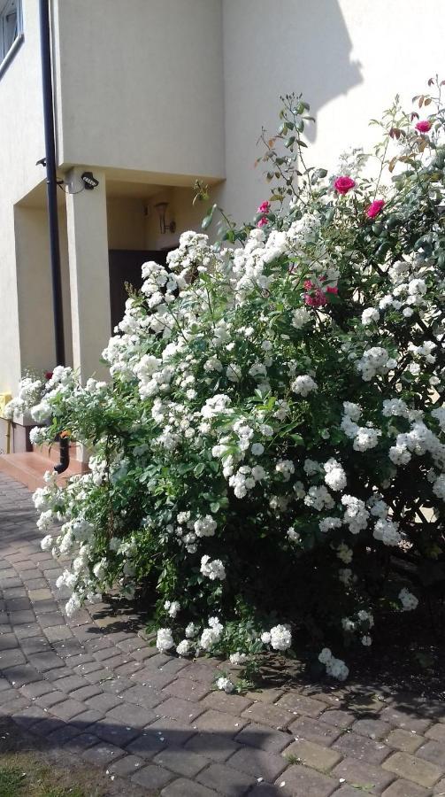 Domki Kapitanskie Z Prywatnym Polem Do Gry W Mini Golf Rewal Εξωτερικό φωτογραφία